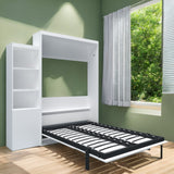 Queen Vertical Murphy Bed