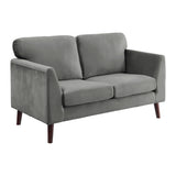 Gray Modern Contemporary 2pc Sofa Set