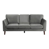 Gray Modern Contemporary 2pc Sofa Set