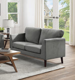 Gray Modern Contemporary 2pc Sofa Set