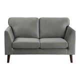 Gray Modern Contemporary 2pc Sofa Set