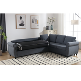 Pull Out Sleeper Sofa