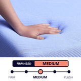 Queen 12 inch Flex Head Hybrid Cooling GelCare Memory Foam and Coil Adult Mattress