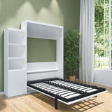 Queen Vertical Murphy Bed